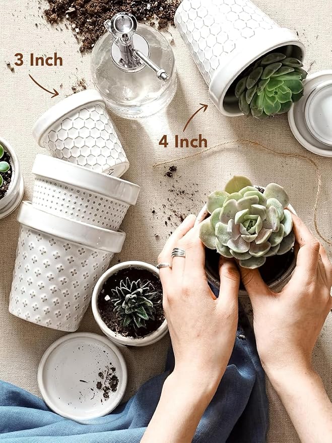 LE TAUCI 3 Inch Mini Succulent Pots - Very Small Ceramic Planter with Saucer, Tiny Embossed Flower Pots for Lithops, Mini Cactus, Air Plants, Fairy Gardens - Indoor Home Decor, Set of 4, Arctic White