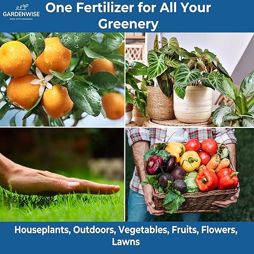 20-20-20 Water-Soluble Fertilizer – Powder for Liquid Plant Food for Indoor & Outdoor Plants, Orchids, Vegetables, Lawns, Flowers – 20 20 20 Fertilizer 1/2 Quart (1 lb)