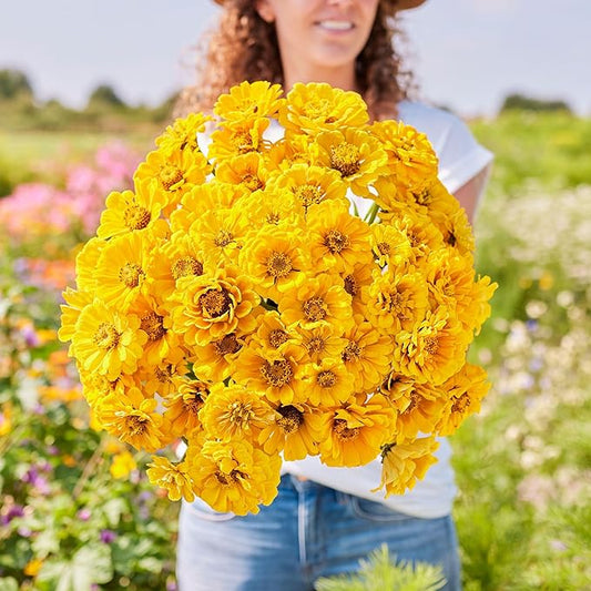 Eden Brothers Zinnia Seeds - Golden State, Non-GMO Seeds for Planting, 1 oz | Low-Maintenance Flower Seeds, Plant During Spring, Zones 3, 4, 5, 6, 7, 8, 9, 10