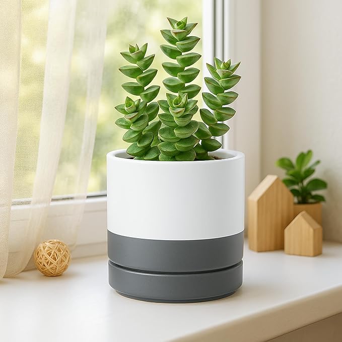 D'vine Dev 4 Inch & 6 Inch & 8 Inch, Set of 3 Round Ceramic Planter Pot with Drainage Hole and Saucer, White/Speckled Grey, 94-T-M-6