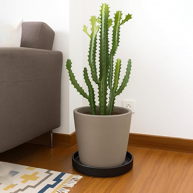 D'vine Dev Modern Round 8.7 Inch Ceramic Plant Pot Saucer, Planter Pot Drainage Tray for Indoor Plants, Matte Black, 97-T-B-4