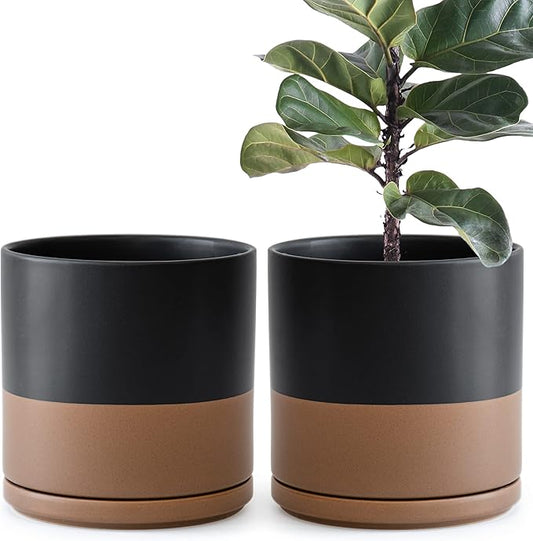 D'vine Dev Set of 2 Plants Pot, 10 Inch Ceramic Planter Pot for Plants with Drainage Hole and Saucer, Black/Speckled Tan, 94-V-E-7