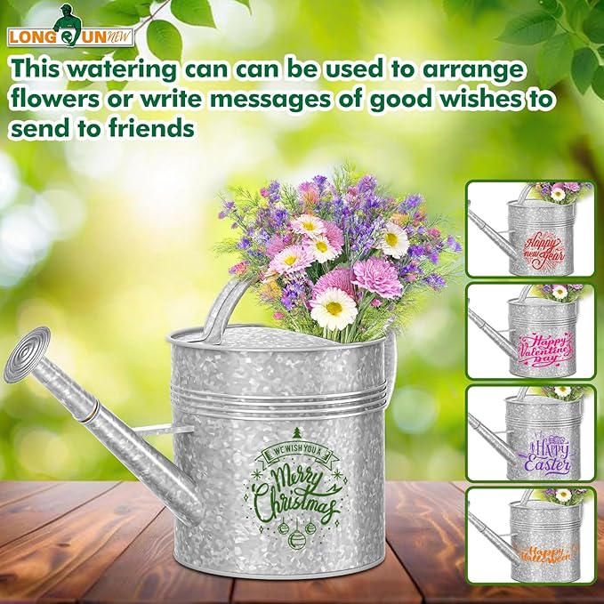 Galvanized Iron Watering Can for Indoor Plants, Oval Watering Cans for House Plant Garden Flower, Long Spout Water Can for Outdoor Watering Plants 9.46L 2.5 Gallon