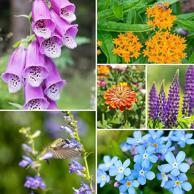 Wildflower Seeds Mix, 2 Oz, 50,000+, 28 Varieties Flowers Seeds for Planting, Annual Perennial Garden Seeds to Attract Bees, Butterflies & Birds