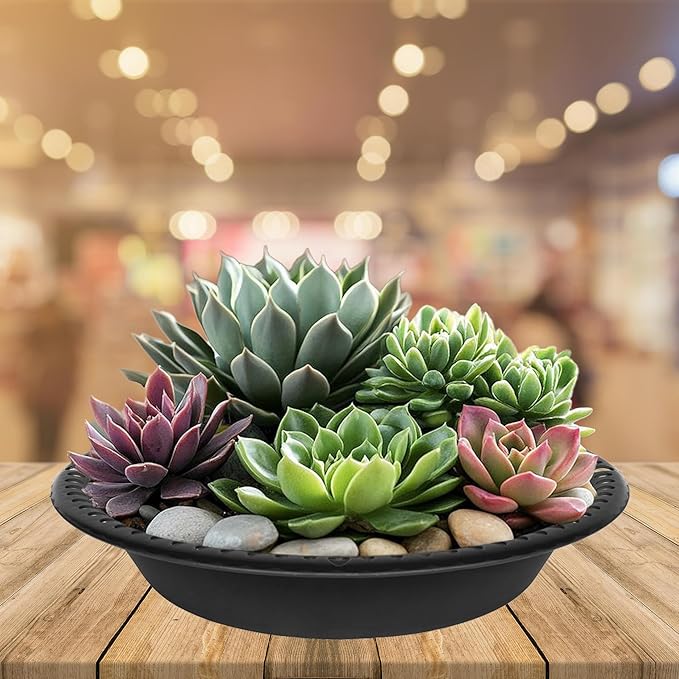 2 Pack of Extra Deep Plant Saucer Tray 10 inch, Heavy Duty Plastic Pot Plant Drip Trays Saucers for Indoors Outdoor, Black