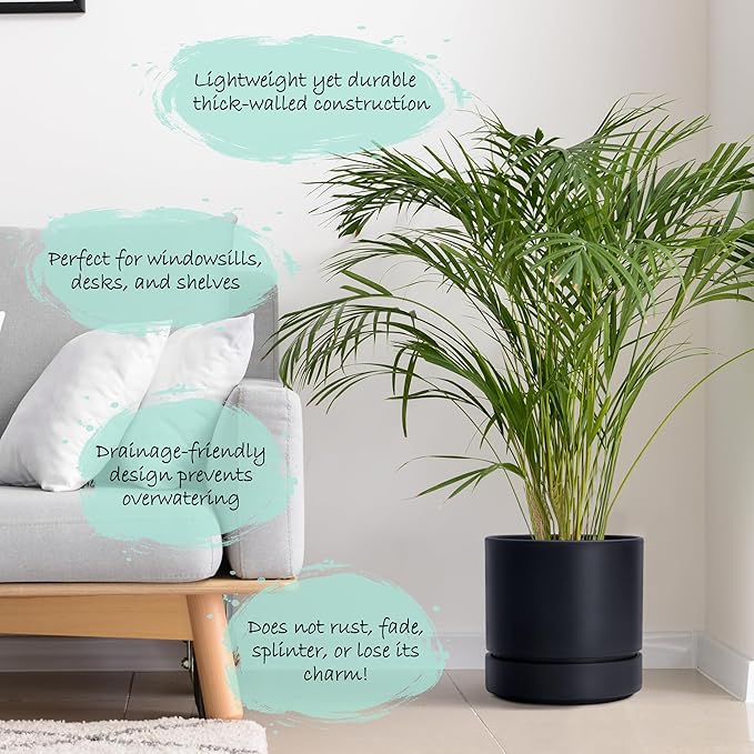 Phoenix Vine 8 Inch Planter Pot with Drainage Hole & Saucer, Deep Water Catch Tray, Straight Cylindrical Round Pot for Plants, Matte Black, Pack of 2, 23-C-T-2