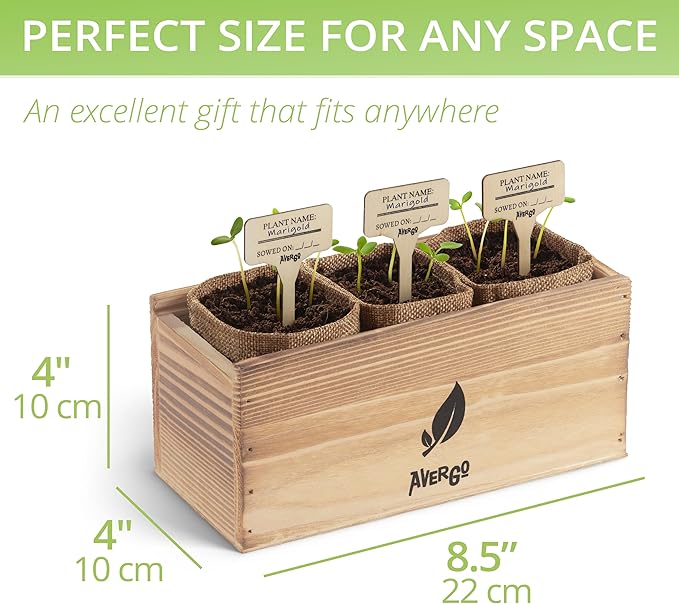 Sunflower Seeds Growing Kit – Complete Indoor & Outdoor Kit with Sunflower Seeds for Planting, Planter, Soil, Tools, Instructions – Ideal for Planting Sun Flowers at Home