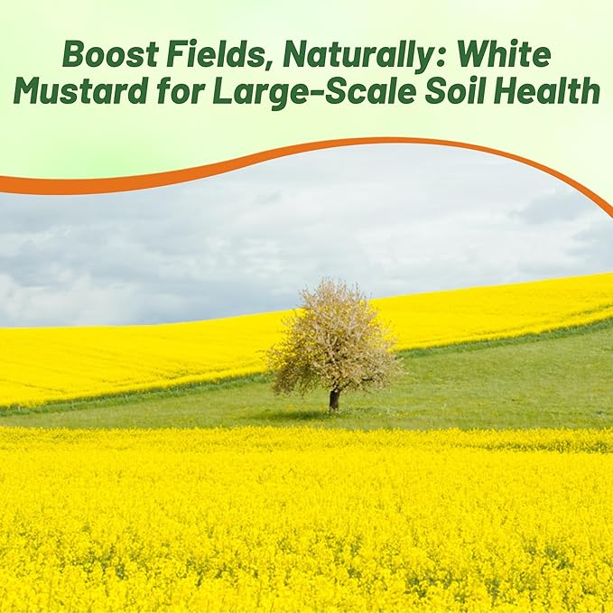 Outsidepride White Mustard Seeds for Planting - 5 lb Annual Cover Crop Seeds w/Deep Root System, High Protein Forage, Ideal for Soil Fertility, Crop Rotations, & Livestock Nutrition