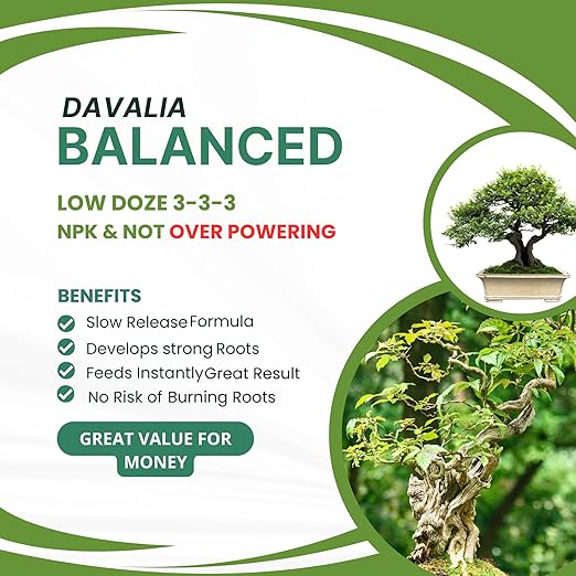 500 Grams Organic Bonsai Fertilizer - NPK Slow Release Pellets, Bonsai Food, Ready to Use Macro & Micro Nutrients Ideal for All Indoor and Outdoor Bonsai Tree Plants in Pots