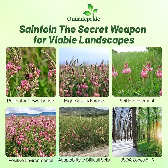 Outsidepride Sainfoin Seeds - 5 lb. Perennial, Drought-Tolerant & Pollinator Friendly, Legume Seeds for Planting Prolific & Deep Rooted Flowers, Great for Hay, Pasture, and Wildlife Grazing