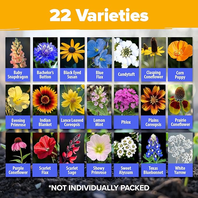 HOME GROWN Texas Wildflower Seeds 87,500+ Non-GMO Perennial Wildflower Seeds Mix for Attracting Bees, Birds & Butterflies - 22 Varieties Bulk Wild Flower Seed Mix for Full Sun & Shade Gardens (2 oz)