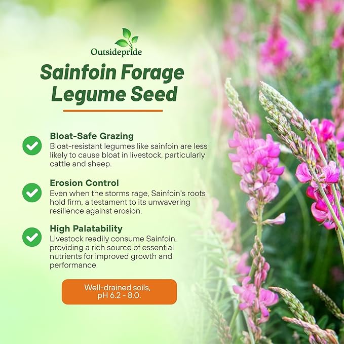 Outsidepride Sainfoin Seeds - 5 lb. Perennial, Drought-Tolerant & Pollinator Friendly, Legume Seeds for Planting Prolific & Deep Rooted Flowers, Great for Hay, Pasture, and Wildlife Grazing