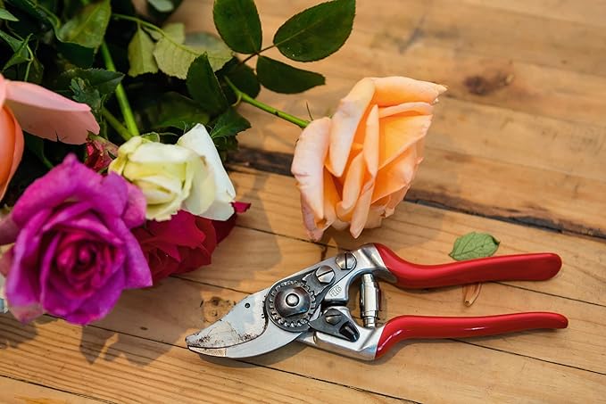 Felco F 14 Pruning Shears – 7.1" Garden Clippers for Small Hands with Bypass & Anvil Blades | Hand Pruners for Gardening | Garden Tool Cutter with Forged Alloy Steel Build, Lightweight Swiss Design