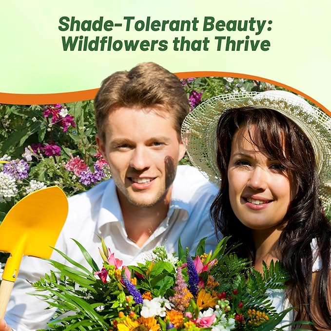 Outsidepride Partial Shade Wild Flower Seed Mix for All States - 1/4 lb. Premium Blend of Annual & Perennial Wildflowers, Perfect for Partial Shade Areas, & Outdoor Planting for Gardens & Lawns