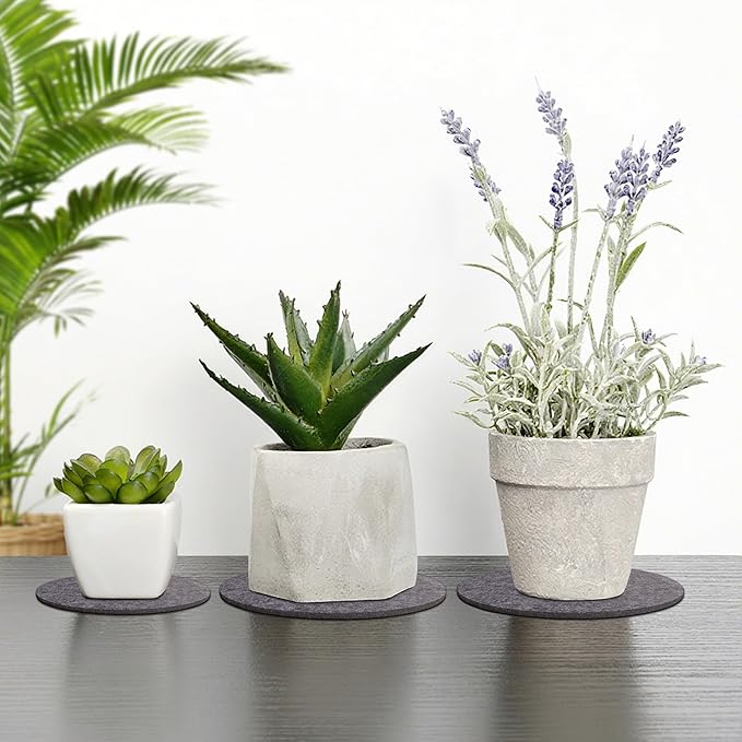 Felt Plant Coasters, 4 Sizes Extra Thick 4/6/8/10 Inch Planter Coaster, Absorbent Plant Mats, Trivets for Hot Dishes, Plant Coasters for House Plants, 16 Pcs