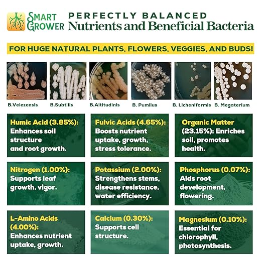 Organic Plant Food with Beneficial Microbes, Fast Acting Vegan Fertilizer for Vegetable Garden, Outdoor & Indoor Plant Fertilizer, Miracle Growth for Plants Concentrated 250GR 2-Pack Makes 60 Gallons