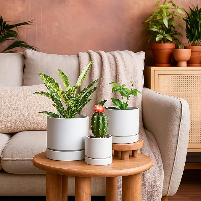 Phoenix Vine 4 Inch Planter Pot with Drainage Hole & Saucer, Deep Water Catch Tray, Straight Cylindrical Round Pot for Plants, Matte White, Pack of 4, 23-B-R-4