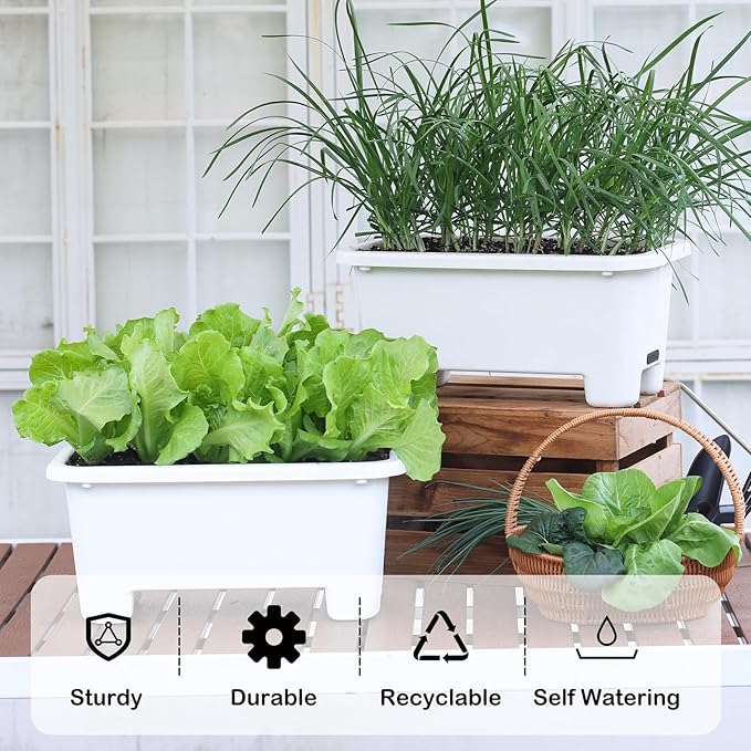 Self-Watering Rectangle Planter Boxes 8-Pack, 15.7-Inch Window Box Planter with Drainage Holes & Trays, Pots for Vegetables, Herbs, Flowers, Garden Windowsill Balcony (White, 15.7*8.3*7.1 inch)