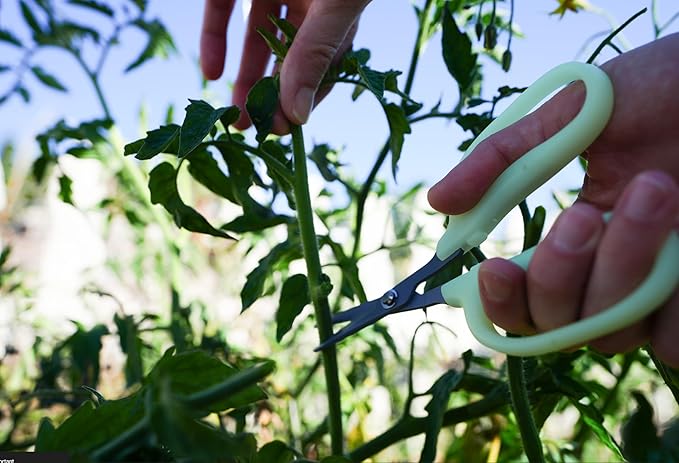 Obsidian Drake Pro Hort Trimming Scissors - Non-Stick Fluorine L-Shape Blade - Glow in the Dark - by Common Culture