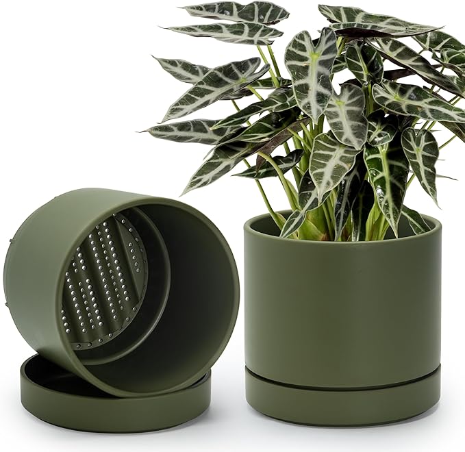 Phoenix Vine 8 Inch Planter Pot with Drainage Hole & Saucer, Deep Water Catch Tray, Straight Cylindrical Round Pot for Plants, Olive, Pack of 2, 23-F-T-2