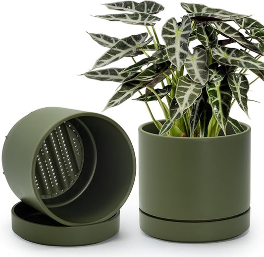 Phoenix Vine 8 Inch Planter Pot with Drainage Hole & Saucer, Deep Water Catch Tray, Straight Cylindrical Round Pot for Plants, Olive, Pack of 2, 23-F-T-2