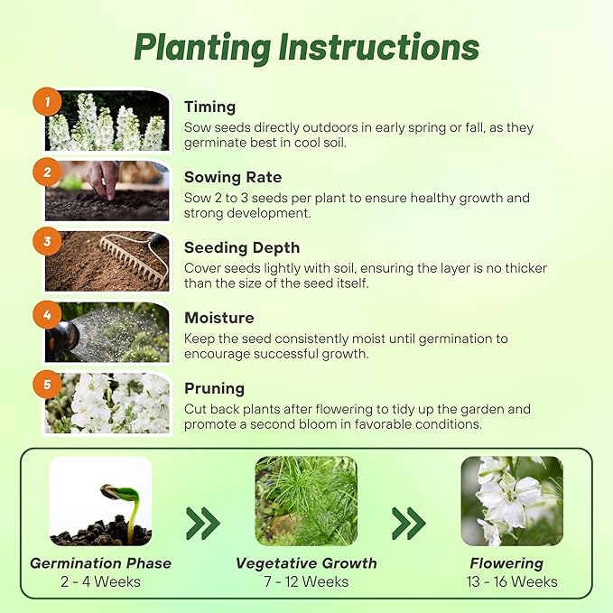 Outsidepride Delphinium White Larkspur Seeds for Planting Outdoors - 1000 Pcs Annual, Self-Seeding, Heat & Drought Tolerant Wildflower Seed, Colorful Blooms for Flower Arrangement & Pollinator Garden