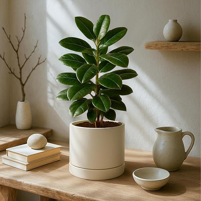 Phoenix Vine 8 Inch Planter Pot with Drainage Hole & Saucer, Deep Water Catch Tray, Straight Cylindrical Round Pot for Plants, Oatmeal, Pack of 2, 23-E-T-2