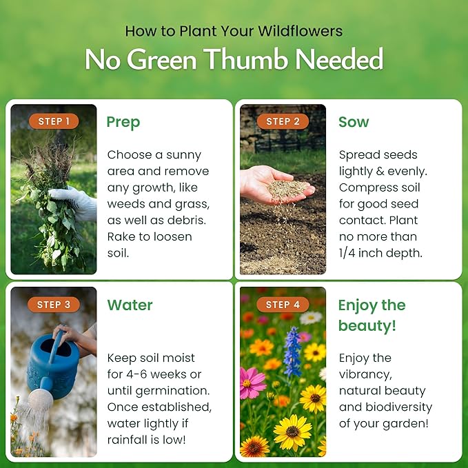 Created By Nature Virginia Wildflower Seed Mix, 18 Flower Varieties, 35,000+ Seeds