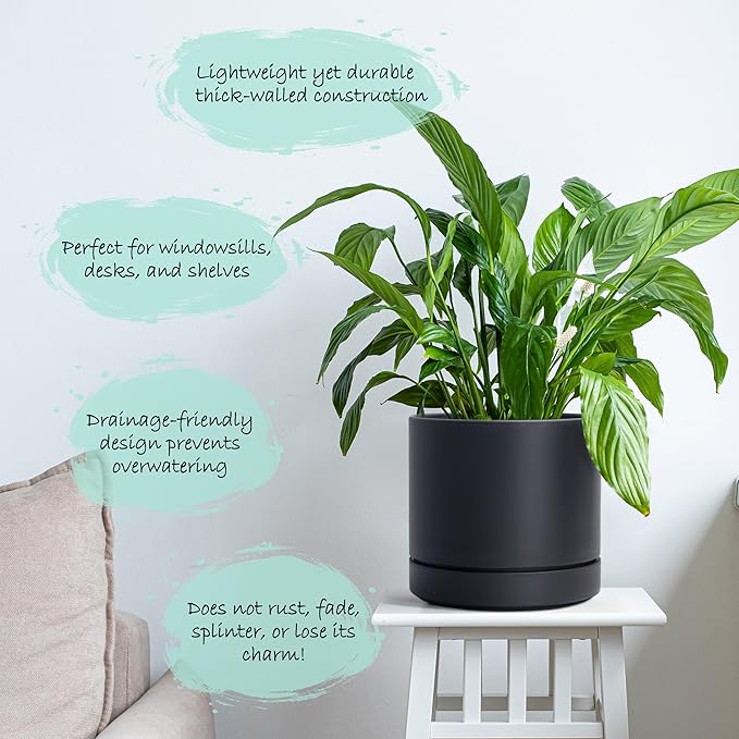 Phoenix Vine 6 Inch Planter Pot with Drainage Hole & Saucer, Deep Water Catch Tray, Straight Cylindrical Round Pot for Plants, Matte Black, Pack of 1, 23-C-S-1