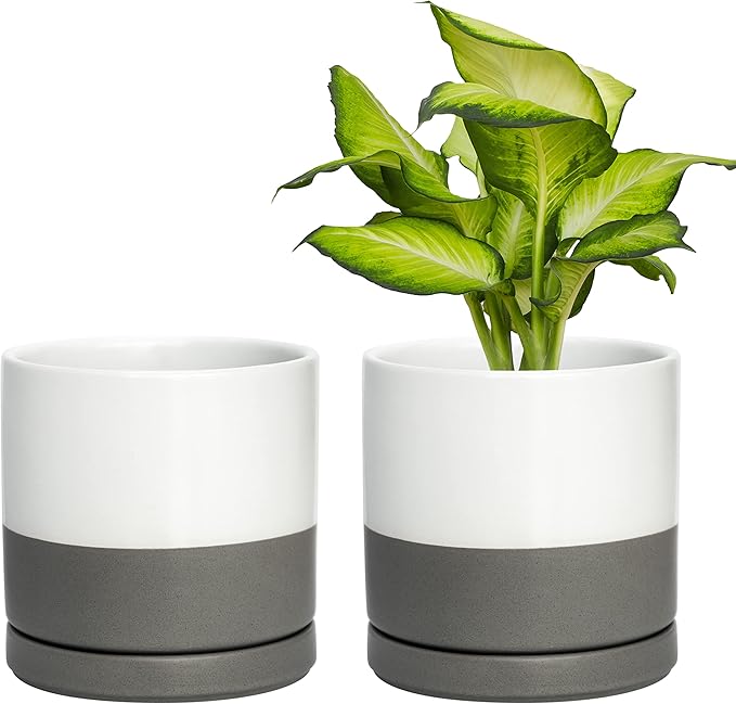 D'vine Dev Set of 2 Plants Pots, 6 Inch Ceramic Planter Pot for Plants with Drainage Hole and Saucer, White/Speckled Grey, 94-V-C-6