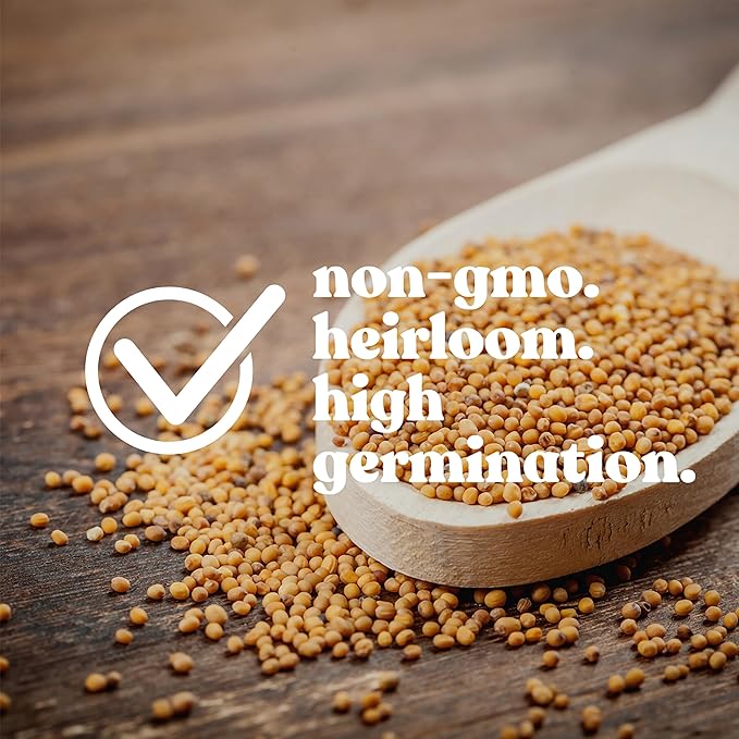 Meadow Mix Wildflower Seeds 1 Lb – 26 Annual & Perennial Varieties for Pollinators—Bee Friendly, Non-GMO, Bulk Sizes – California Poppy, Black-Eyed Susan, Sweet William—Zones 2-9