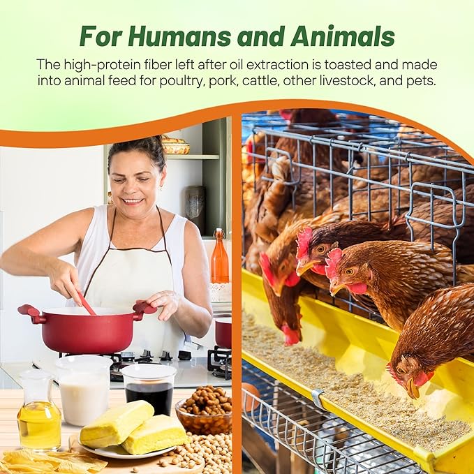 Outsidepride Soybean Seeds - 10 lbs High-Protein & High Yield Heirloom Variety Soy Beans, Ideal for Oil Processing, Forage, Animal Food Plots, & Wildlife Feed for Poultry & Other Farm Animals