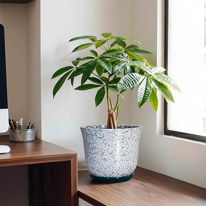 Ceramic Pots for Plants - 8 Inch Plant Pot for Indoor Outdoor, Round Flower Pot with Drainage Hole and Saucer, Decorative Planters, Modern Planter, Patio Decor, House Warming Gift, Green