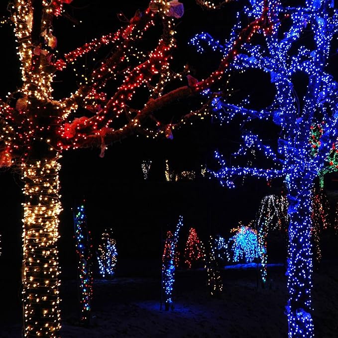 TW SHINE Christmas Lights, 200 LED 66FT Outdoor Christmas Lights Plug in with 8 Modes, Waterproof Light Outdoor, Indoor Xmas Decorations for Party Yard House Decor, Red