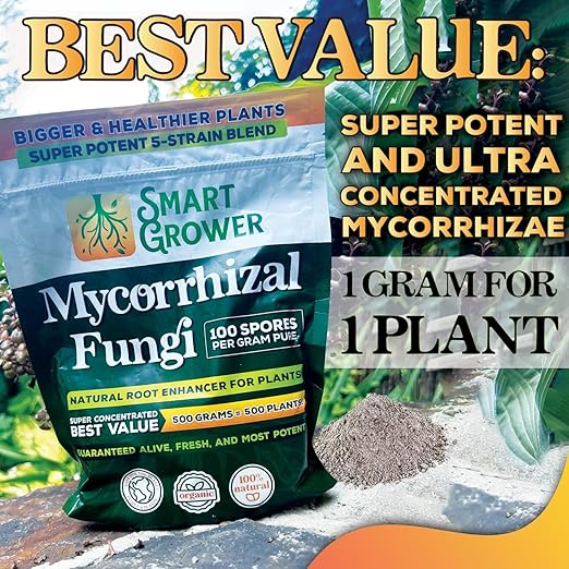 Mycorrhizal Fungi Organic Root Enhancer for Plants, Super Potent 100 Spores Pe, 5-Strain Bler Gramnd, Ra Respidults for Gardens, Houseplants, Lawns, Mycorrhizae Smart Grower 125 Grams for 125 Plants
