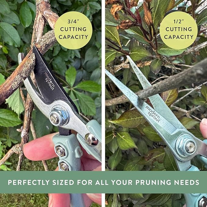 Modern Sprout Hand Pruners & Shears Set with Blister Pack - Lightweight Gardening Tools with Easy Lock - Sharp Carbon Steel Blades -Rust Resistant Scissors for Herbs, Flowers - Sage
