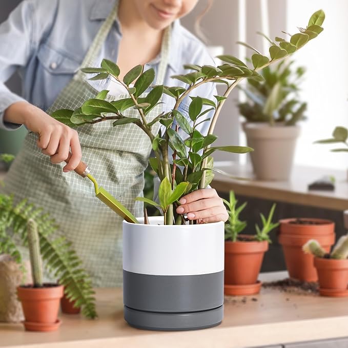 D'vine Dev 6.5 Inch Ceramic Planter Pot with Drainage Hole and Saucer, Indoor Cylinder Round Flower Pot, White/Speckled Grey, 94-O-C-6