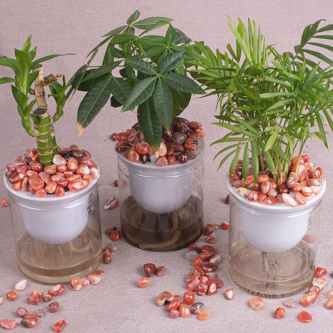 Polished Carnelian Crystal Stone Set - 72 Pcs, 0.5" 10 oz Handpicked Tumbled Gemstones Rocks Quartz, Pebbles for Reiki, Chakra, Healing, Home Decor, 0.5" - 10 oz Mahogany Obsidian