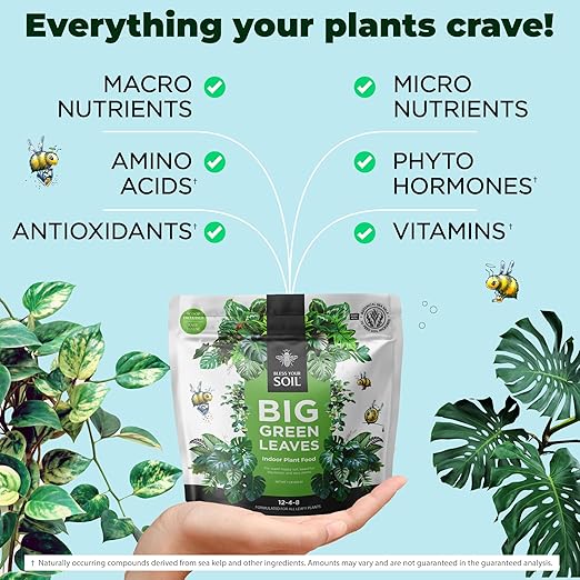 Big Green Leaves Indoor Plant Food - House Plant Fertilizer - Fast Acting Minerals +Superfood Sea Kelp | 4X More Concentrated Than Liquid Plant Food (1LB)