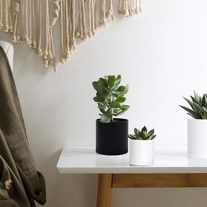 D'vine Dev 12 Pack 3.5 Inch Mini Plastic Plant Pots, Small Garden Planters for Plant with Drainage Holes and Saucers, Black Color, 74-Y-D-4