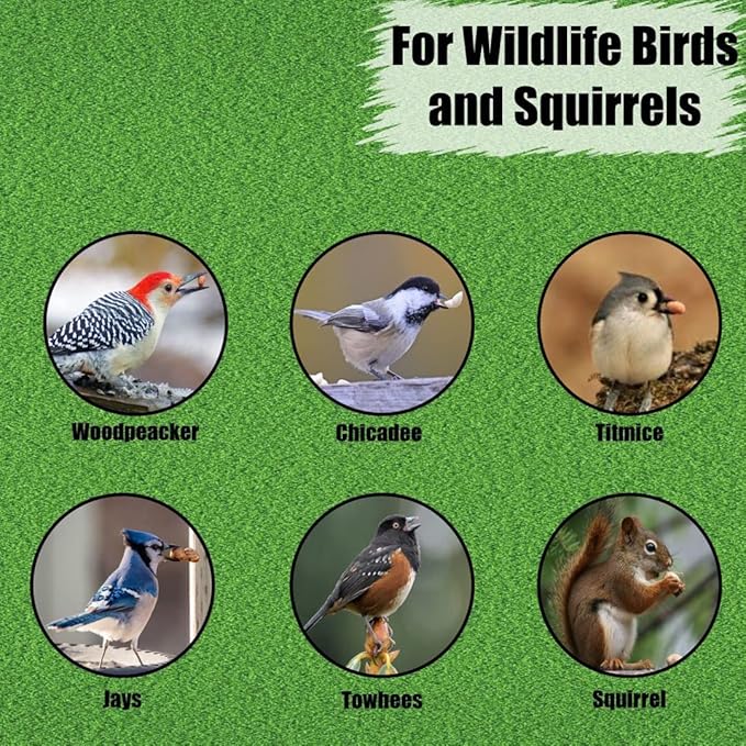 Old Potters Wildlife Shelled Peanuts, 5 lbs for Birds, Squirrels and Wildlife. USA Grown Non-GMO Raw Shelled Peanuts. Wildlife Grade, Not for Human Consumption.