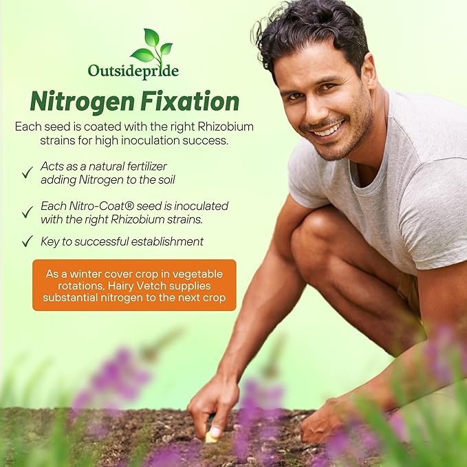 Outsidepride Hairy Vetch Cover Crop Seeds - 50 Lbs Cold Tolerant, Winter Hardy - Ideal for Soil Improvement, Green Pasture, Hay & Livestock Forage - Pollinator Friendly Garden Seeds, Ground Cover