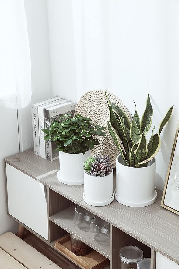 6 inch Matte Wihte Ceramic Plant Saucer (2 Pack)-Ceramic Drainage Tray for Plant Pot