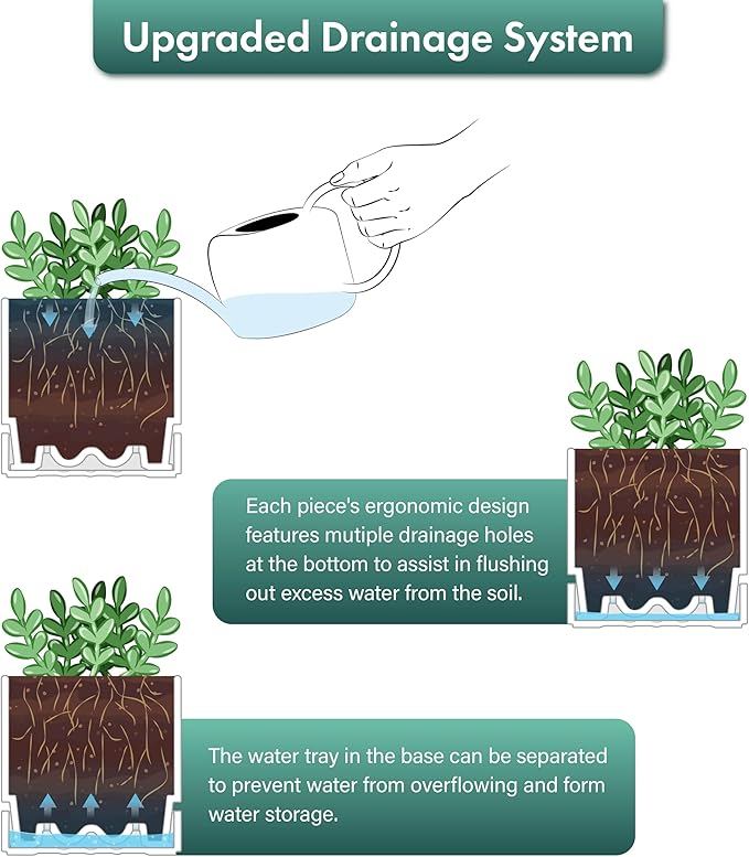 Phoenix Vine 4 Inch Planter Pot with Drainage Hole & Saucer, Deep Water Catch Tray, Straight Cylindrical Round Pot for Plants, Matte White, Pack of 2, 23-B-R-2