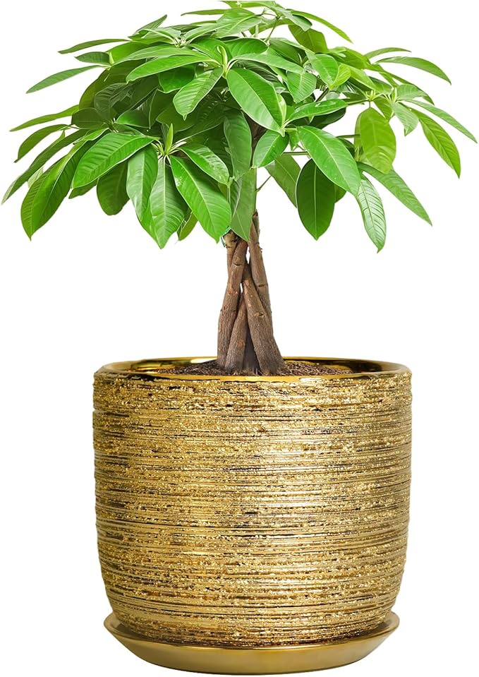 Ceramic Plant Pot 7 Inch - Ceramic Planter for Indoor Outdoor Plants, Round Modern Flower Pot with Drainage Hole and Saucer, Housewarming Gifts, House Patio Office Home Decor, Gold