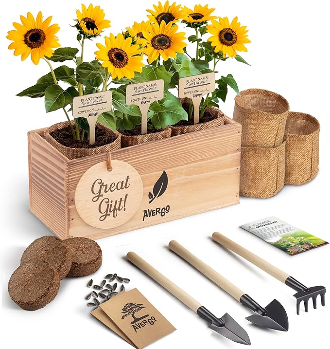 Sunflower Seeds Growing Kit – Complete Indoor & Outdoor Kit with Sunflower Seeds for Planting, Planter, Soil, Tools, Instructions – Ideal for Planting Sun Flowers at Home