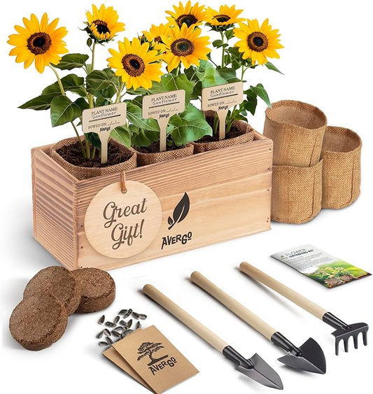Sunflower Seeds Growing Kit – Complete Indoor & Outdoor Kit with Sunflower Seeds for Planting, Planter, Soil, Tools, Instructions – Ideal for Planting Sun Flowers at Home