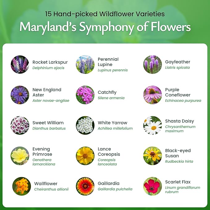 Created By Nature Maryland Wildflower Seed Mix, 15 Flower Varieties, 50,000 Seeds