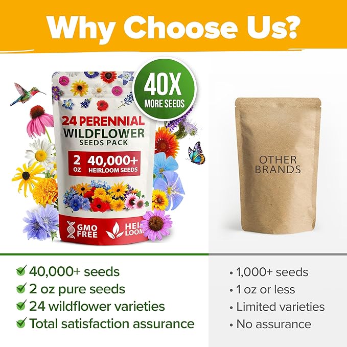 HOME GROWN Premium Wildflower Seeds Bulk - 60,000+ Perennial Flower Seeds Mix for Planting Outdoors - 24 Variety Wildflower Seed Mix - Attracts Bees, Butterflies & Birds - 2oz Wild Flower Seeds