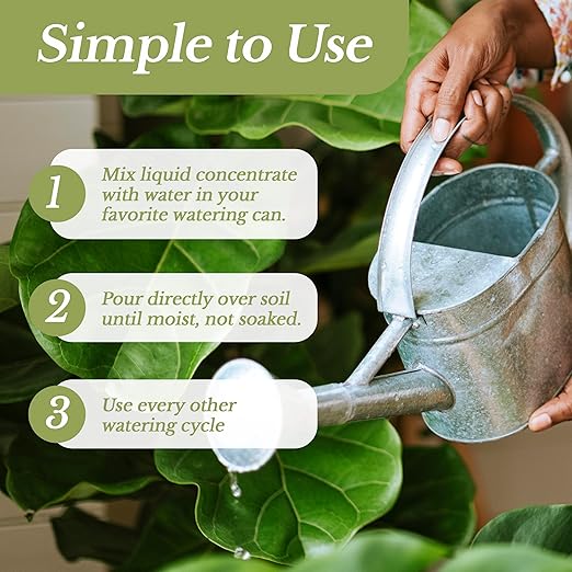 Professional Liquid Money Tree Fertilizer | 3-1-2 Concentrate for Plants and Flowers | Multi-Purpose Blend & Gardening Supplies | 8 oz Bottle